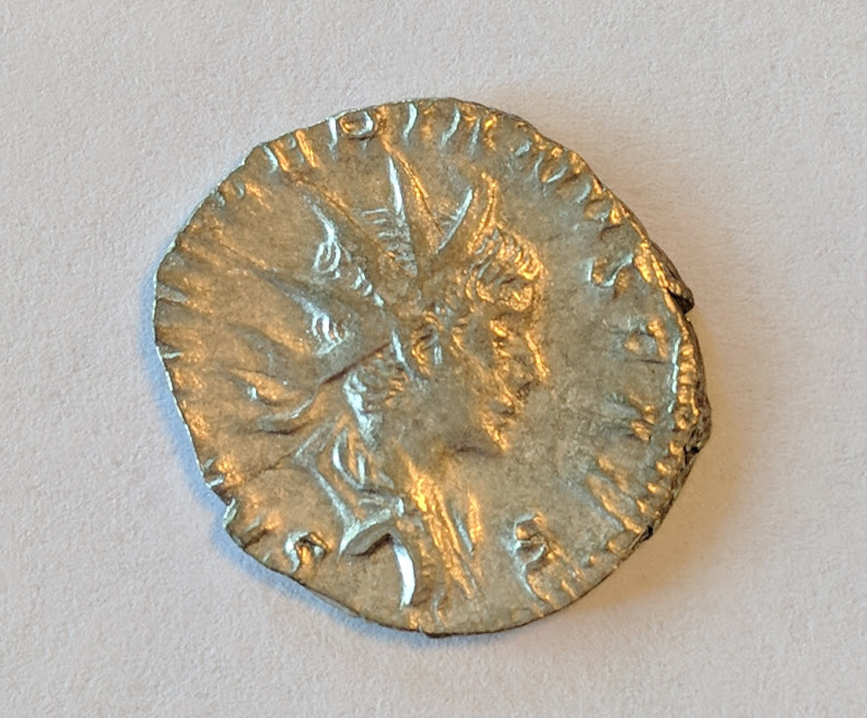 saloninus1.jpg