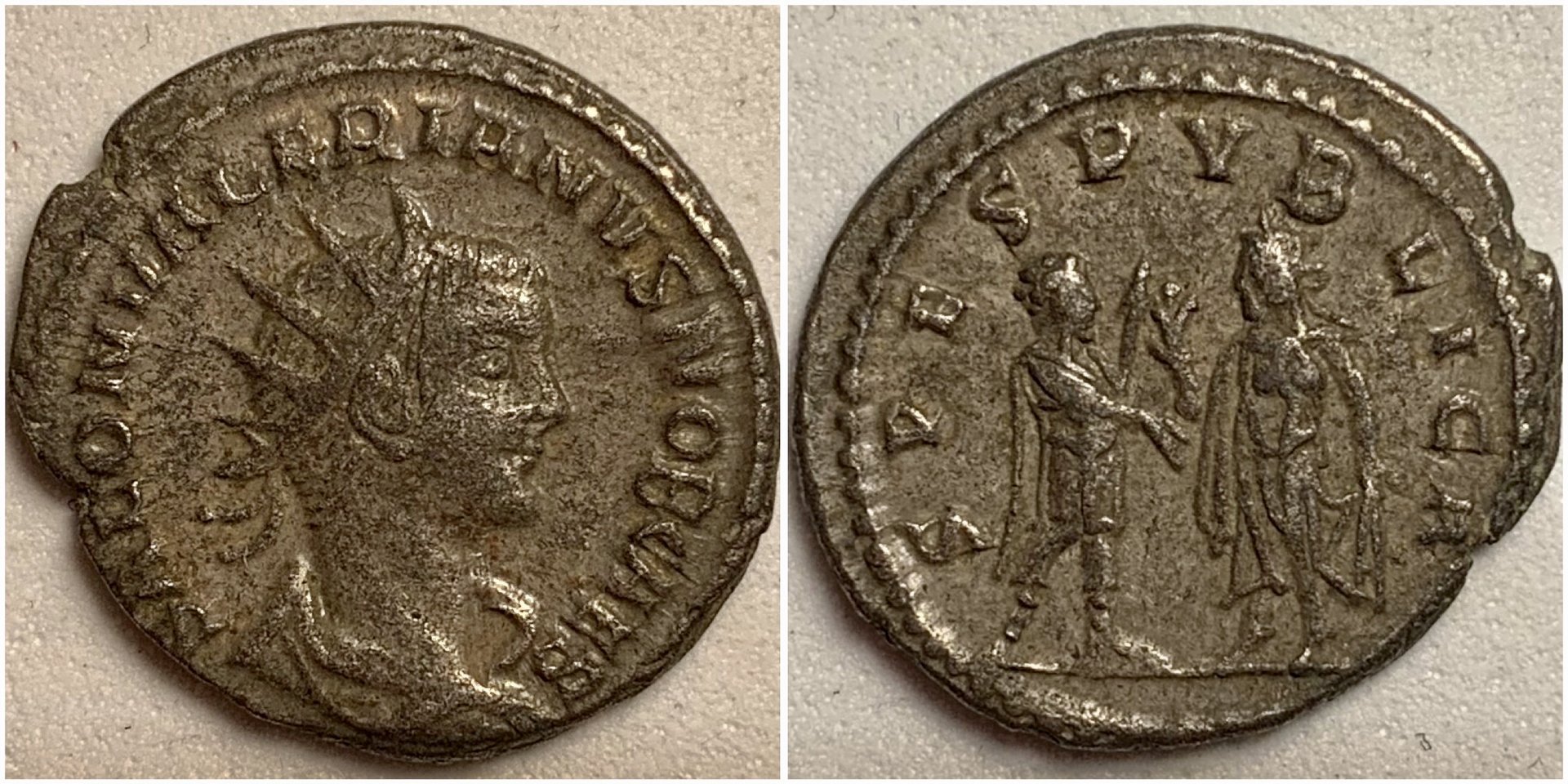 SaloninusAntiochRIC36.JPG