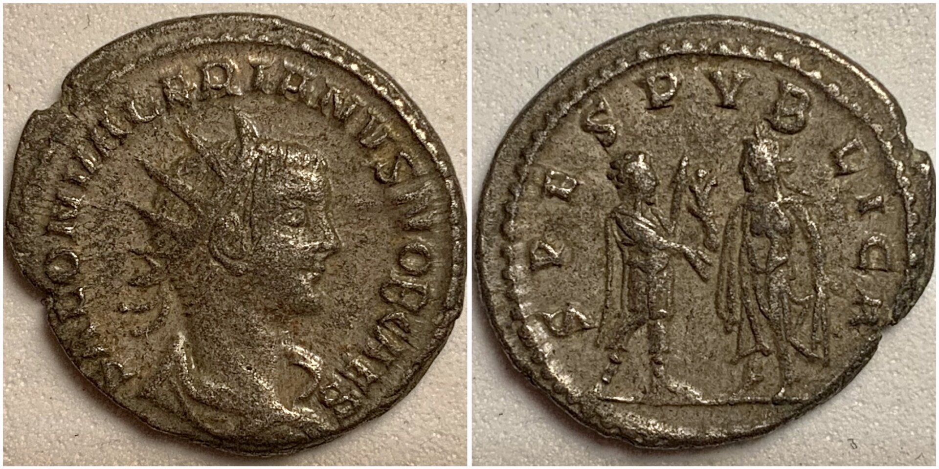 SaloninusAntiochRIC36.JPG