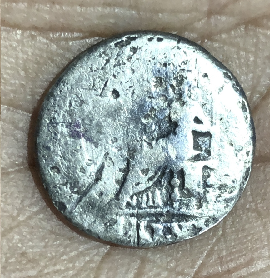 salus,.png