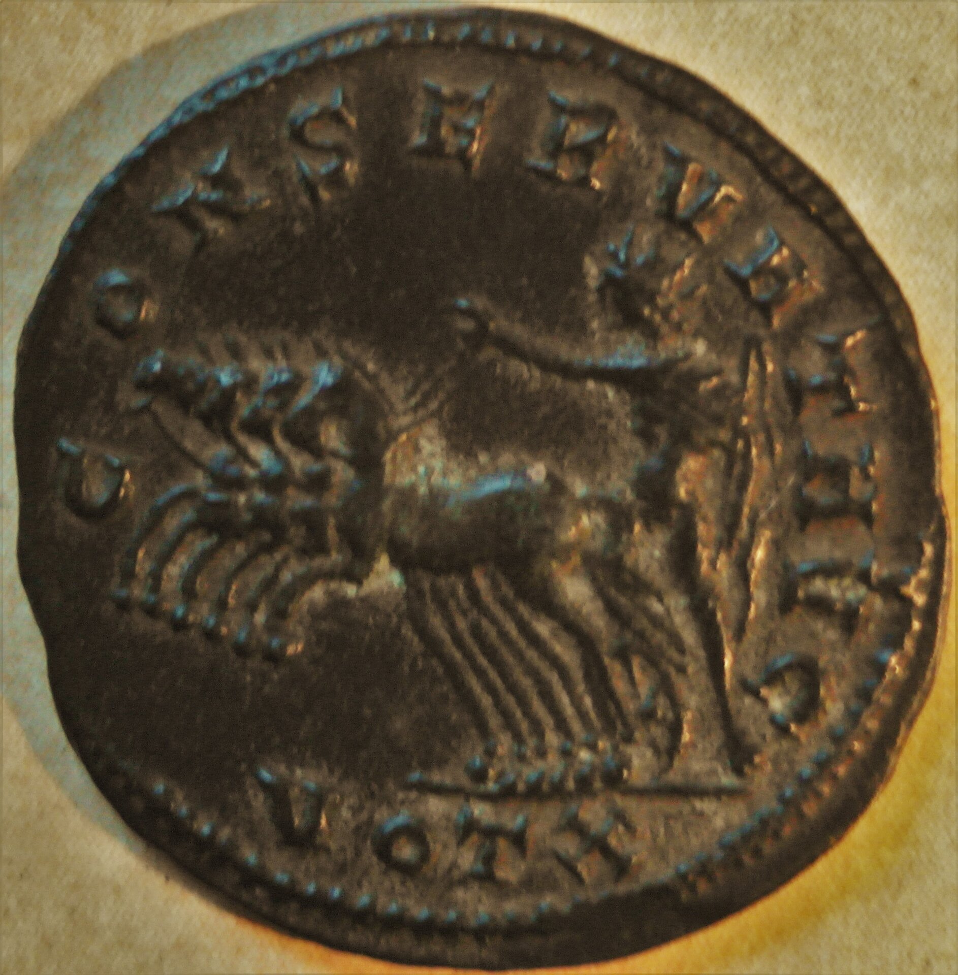 SAM_6152.JPG