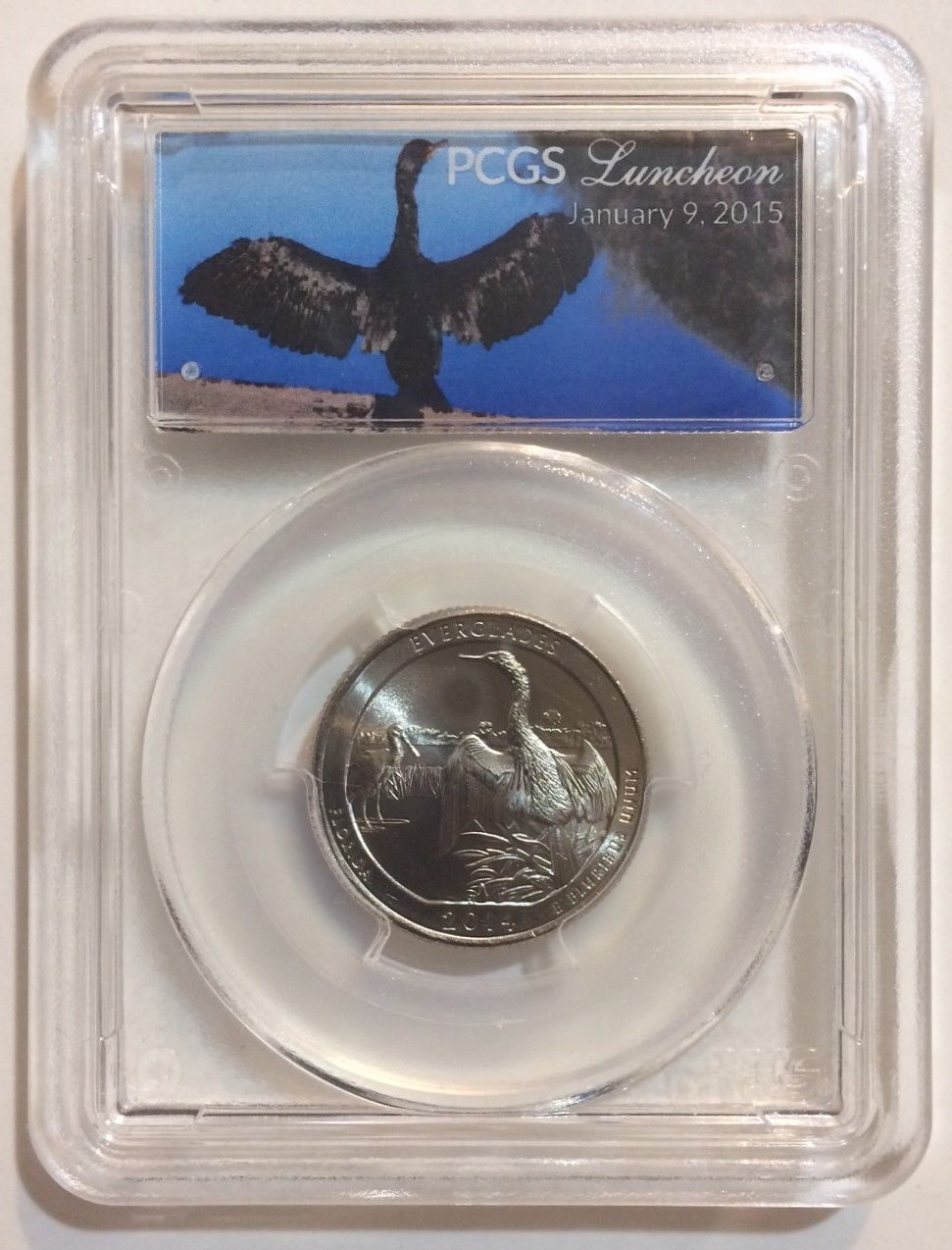 samplepcgs.jpg