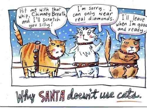 Santa_doesnt_use Cats.jpg