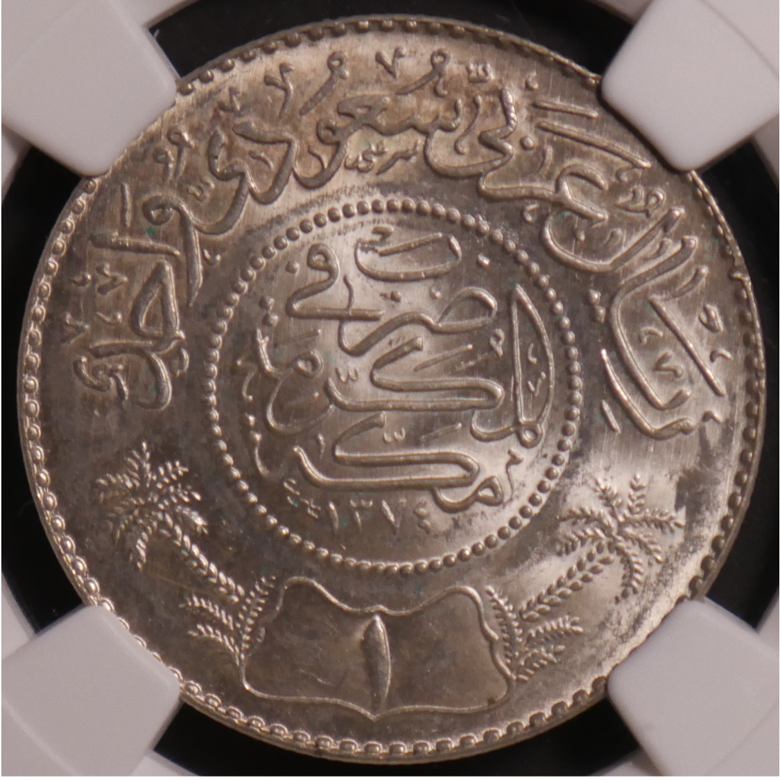 SaudiRiyal01.png