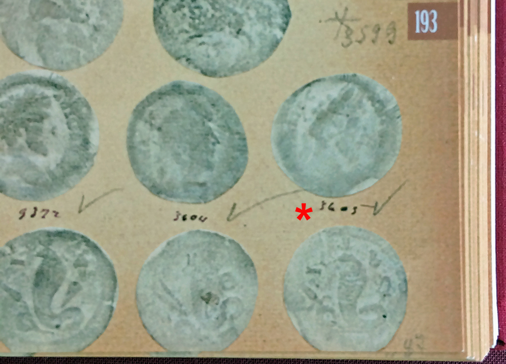 SavioPlate193-3605.jpg