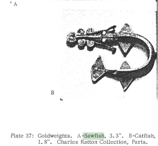sawfish2.jpg