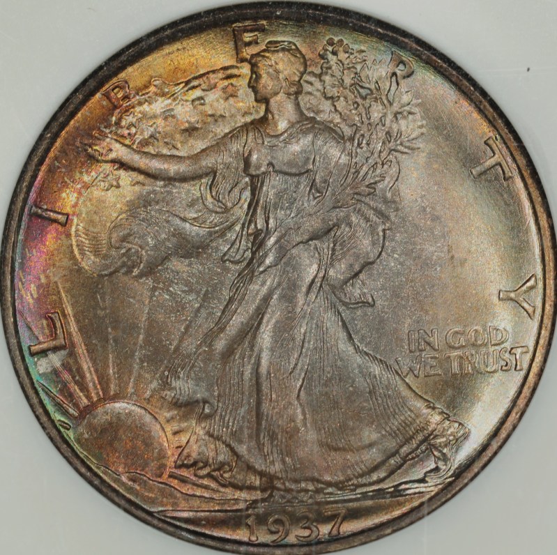 sc1937_66WL.jpg