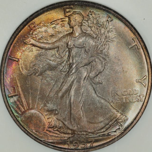 sc1937_66WLsm.jpg