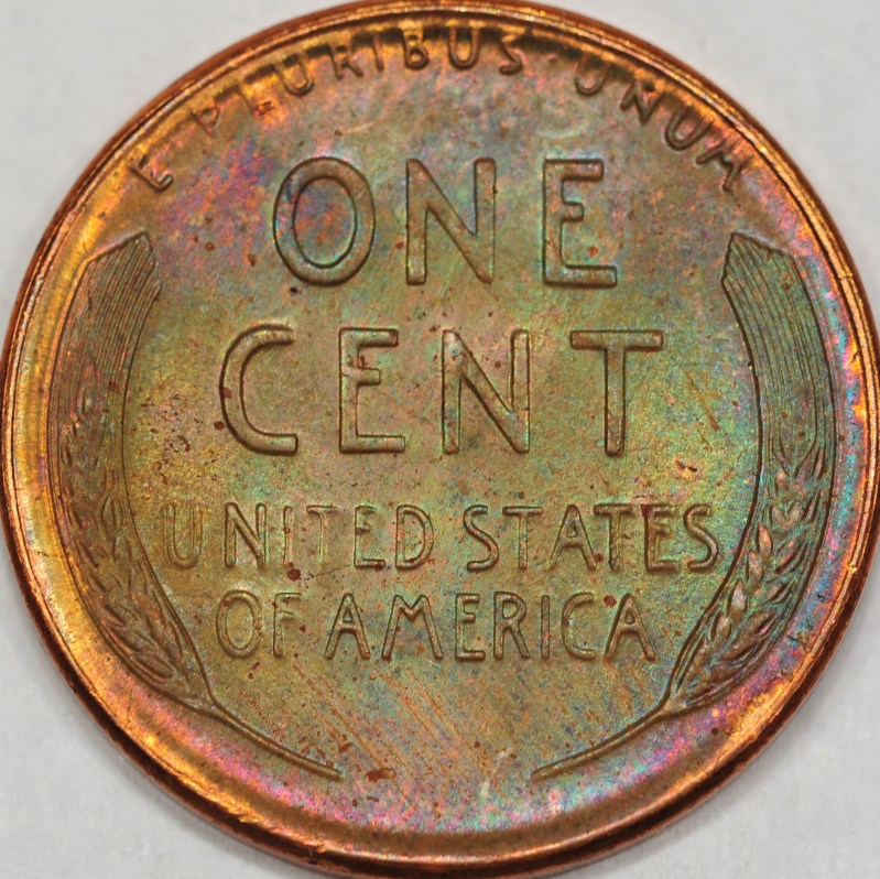 sc1956_rLI1r.jpg