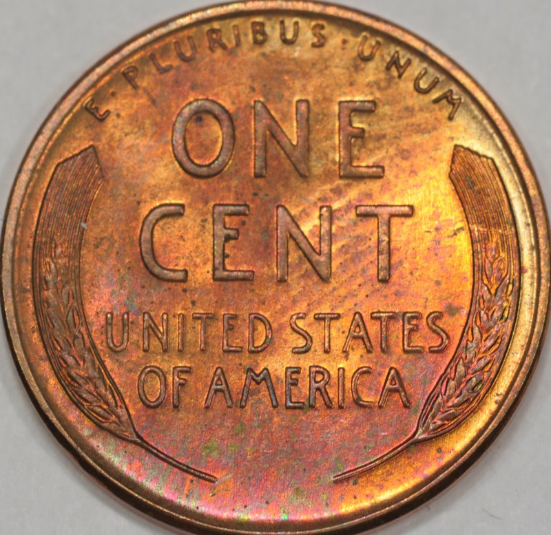 sc1958D_rLI3rev.jpg
