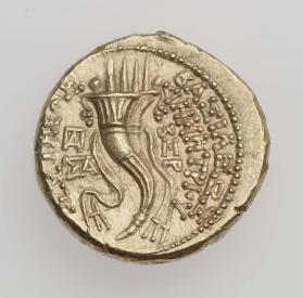 SC255963.jpg