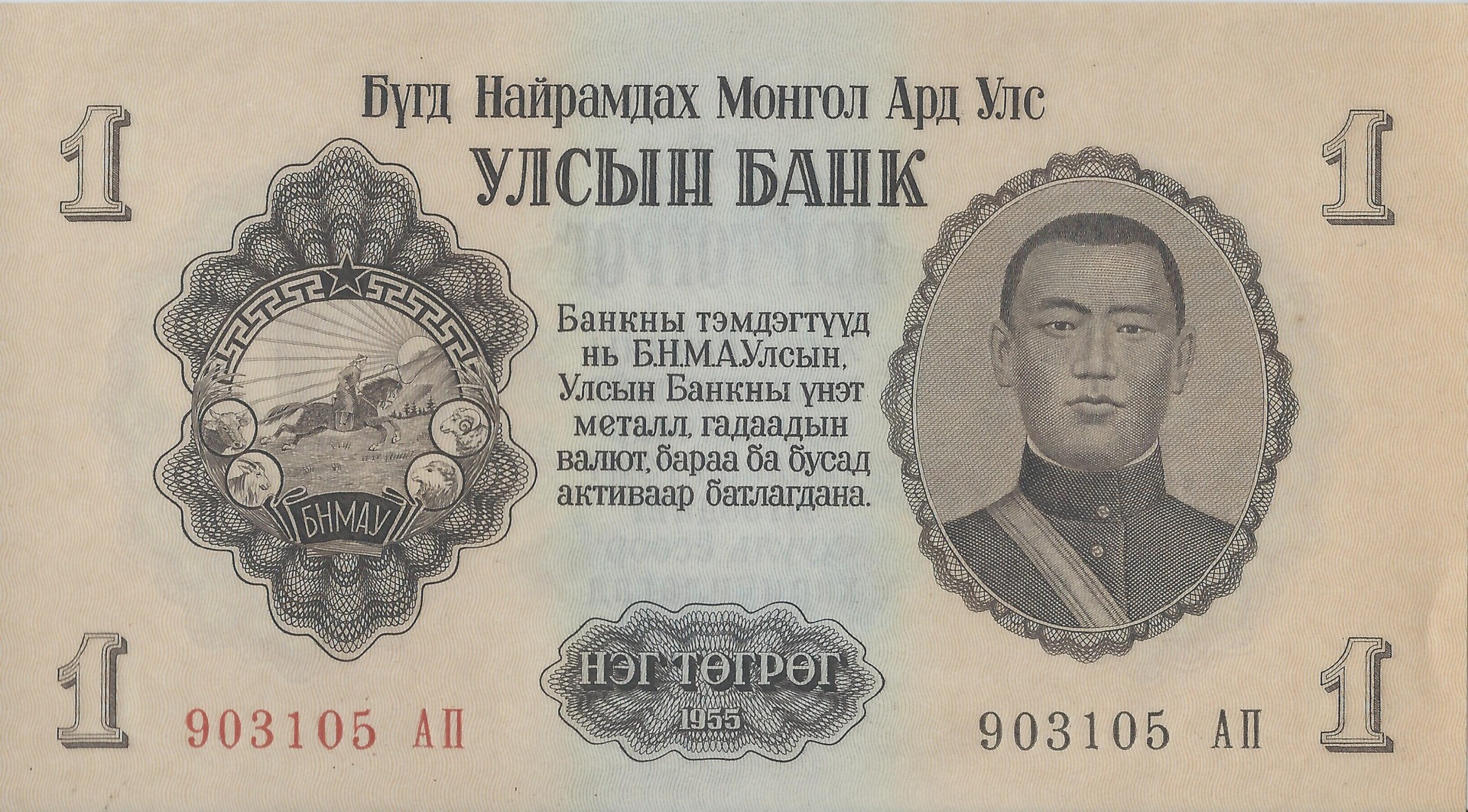 Scan.jpg