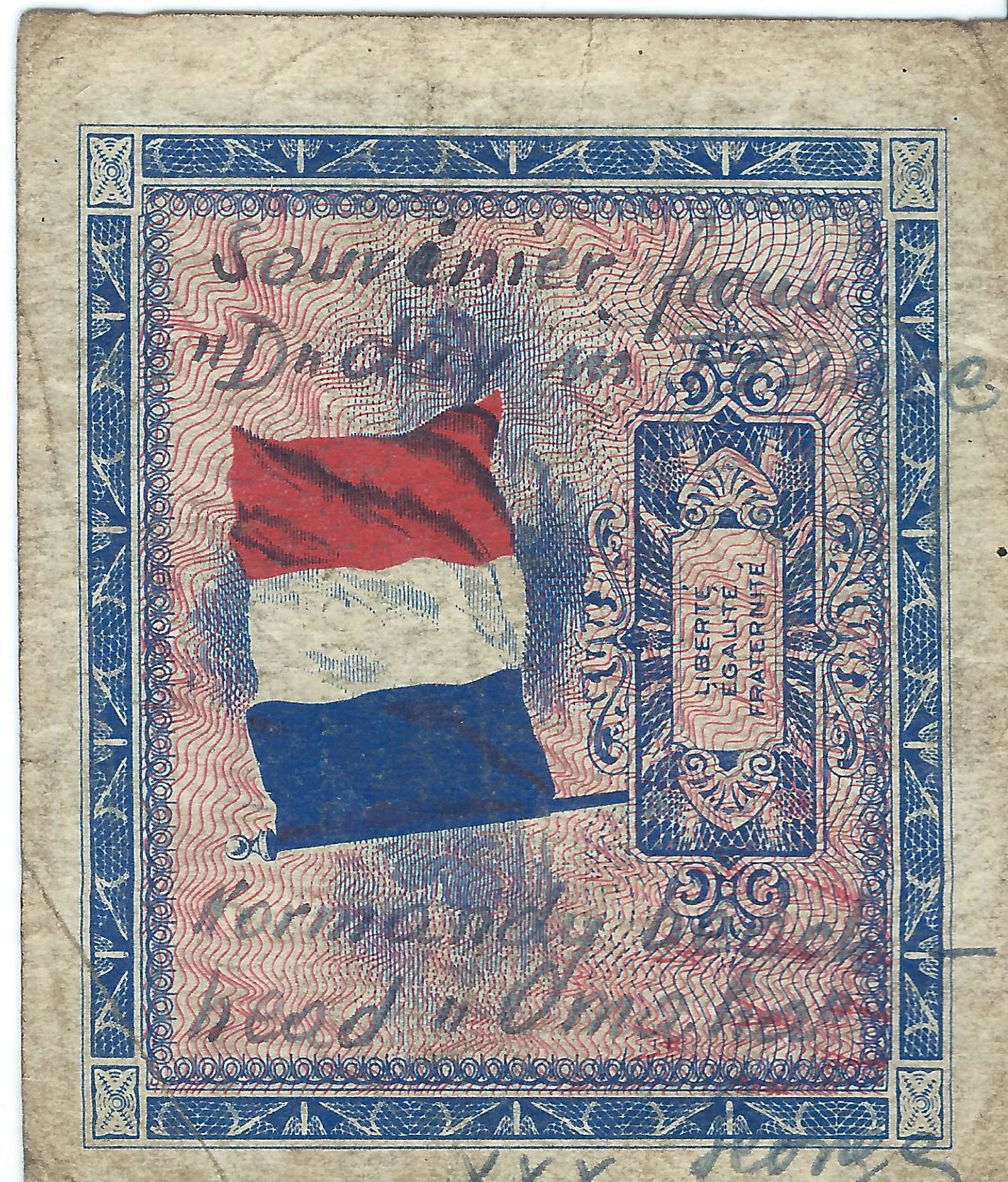 Scan.jpg
