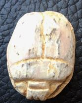 Scarab Egypt  Levantine.JPG