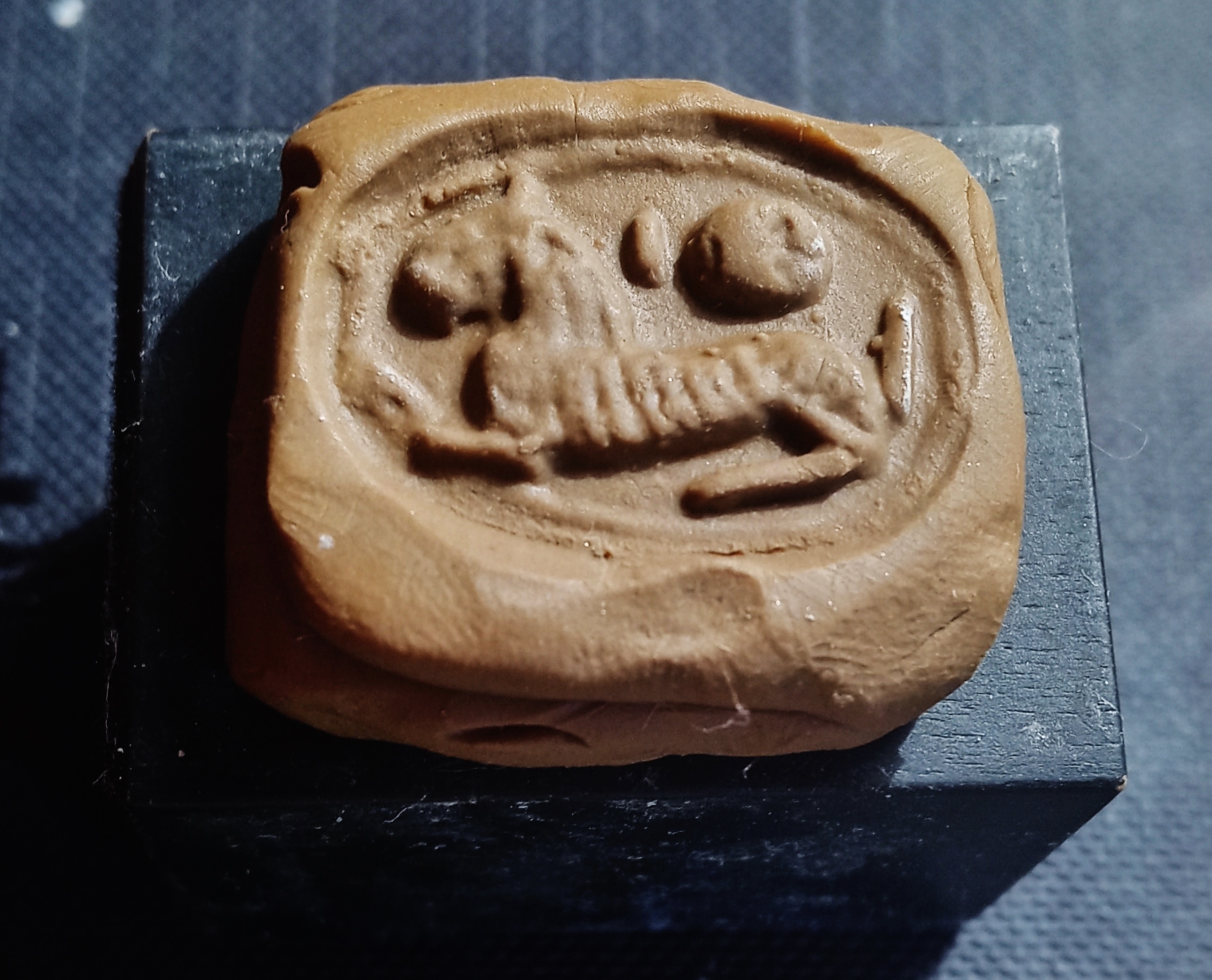 scarab impression 2.jpg
