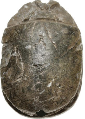 scarab Lot 2022 a.jpg