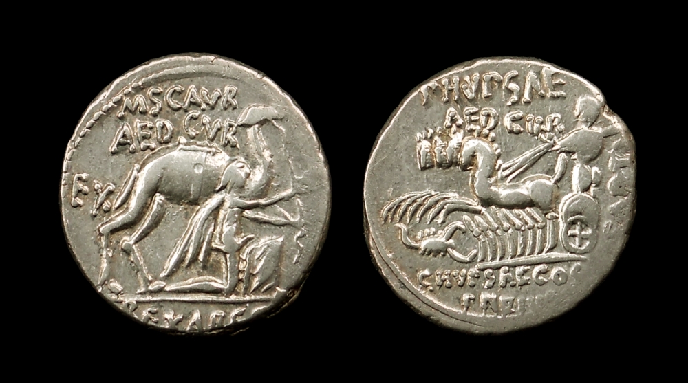 scaurus (1) (1).jpg