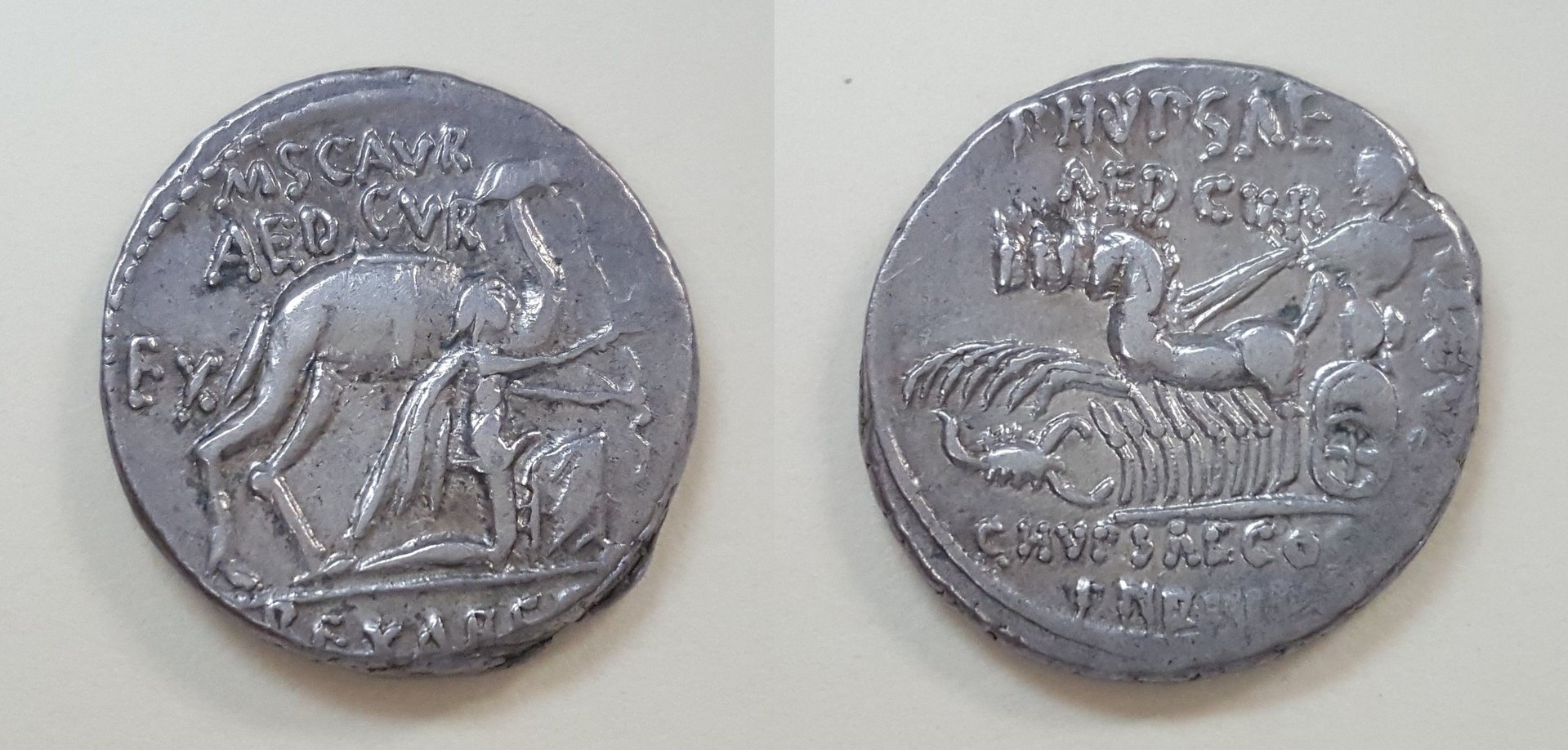 Scaurus Denarii.jpg