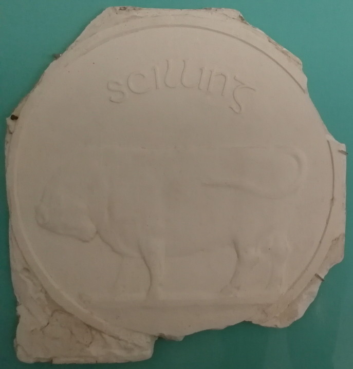 scilling2.jpg