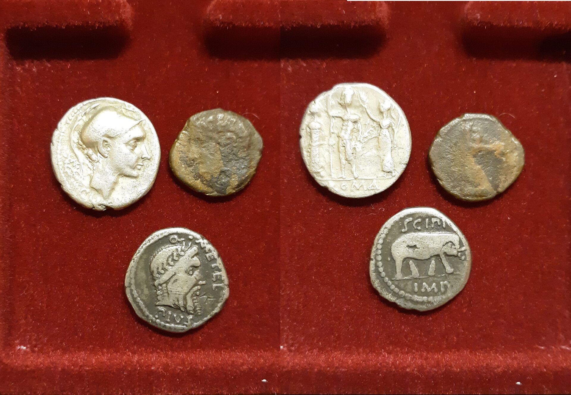 Scipio Africanus types x3.jpg