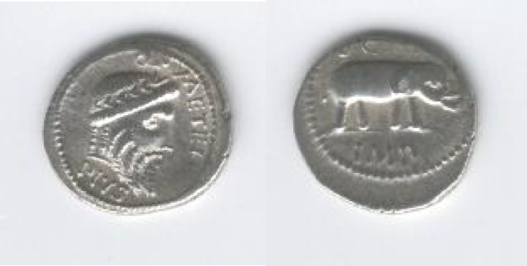 Scipio with elephant.png