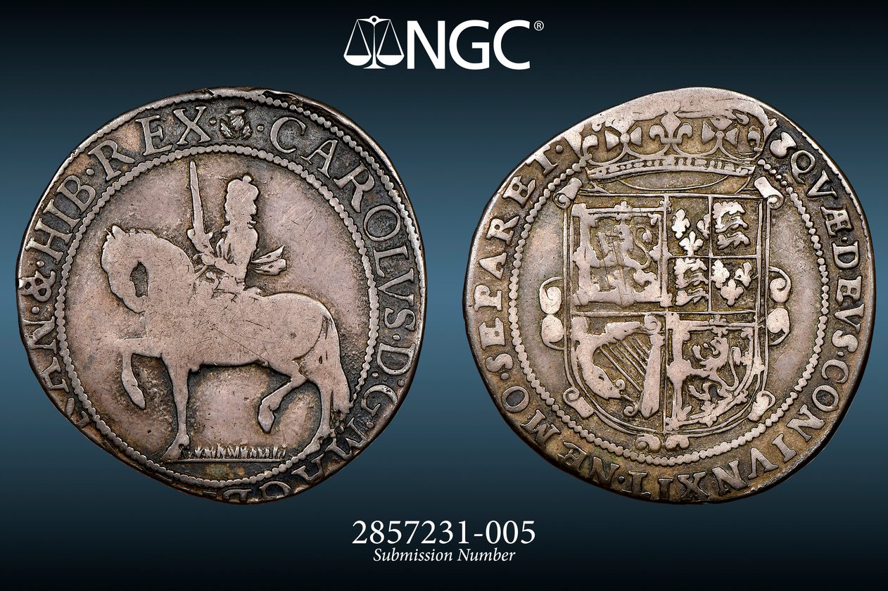 Sco163701.jpg