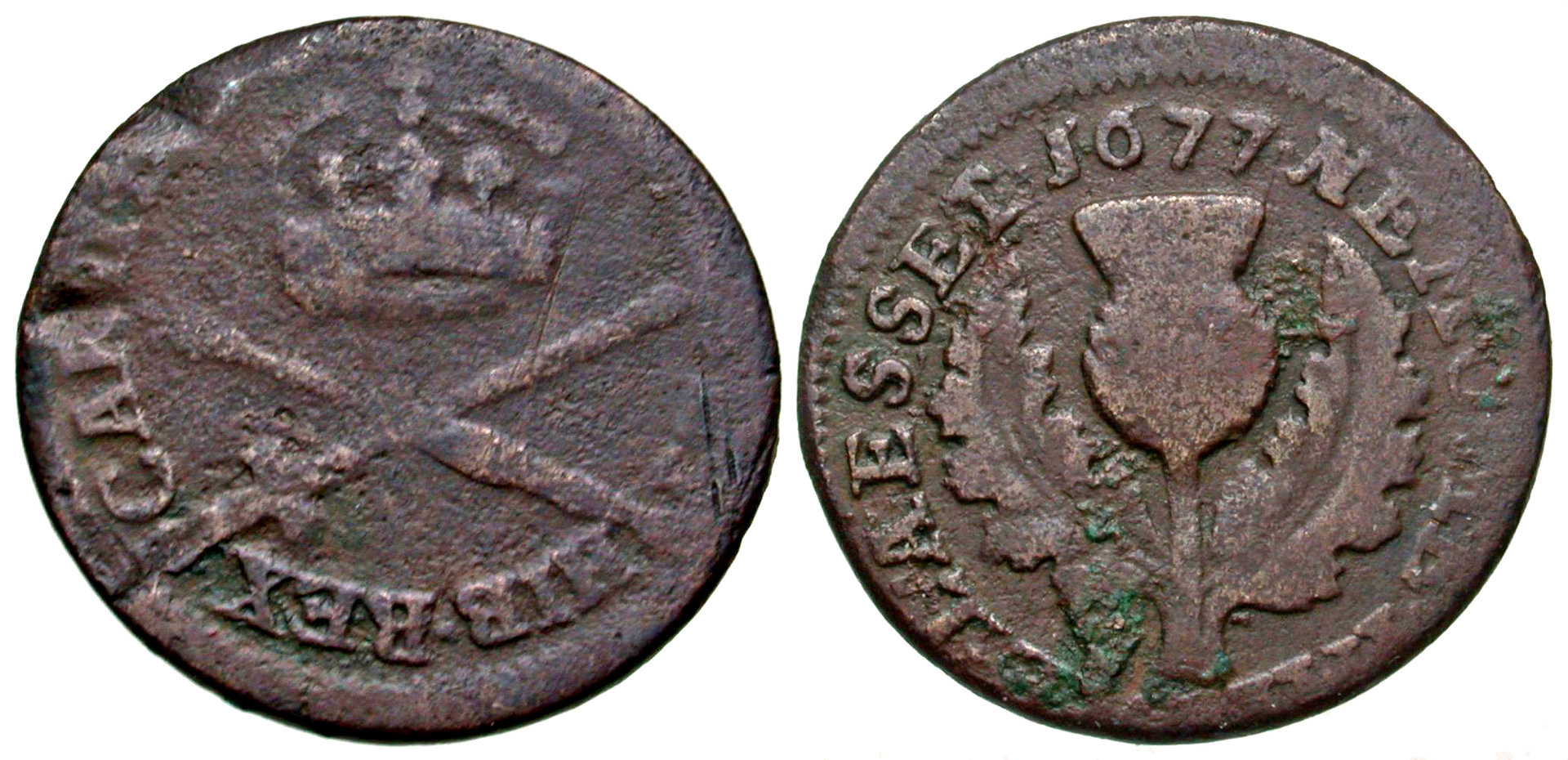 Sco167701.jpg