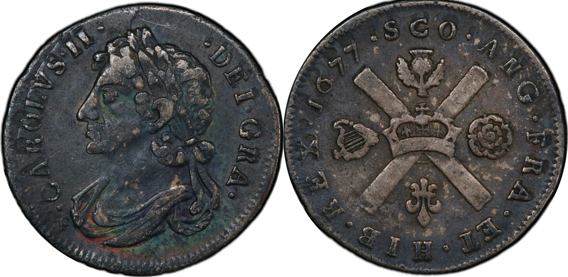 Sco167705.jpg