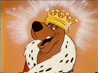 scoob_08.jpg