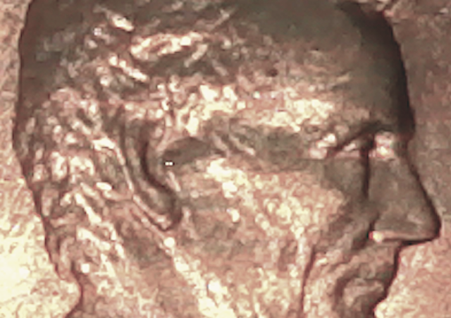 Screen Shot 2020-02-12 at 2.19.49 PM.png