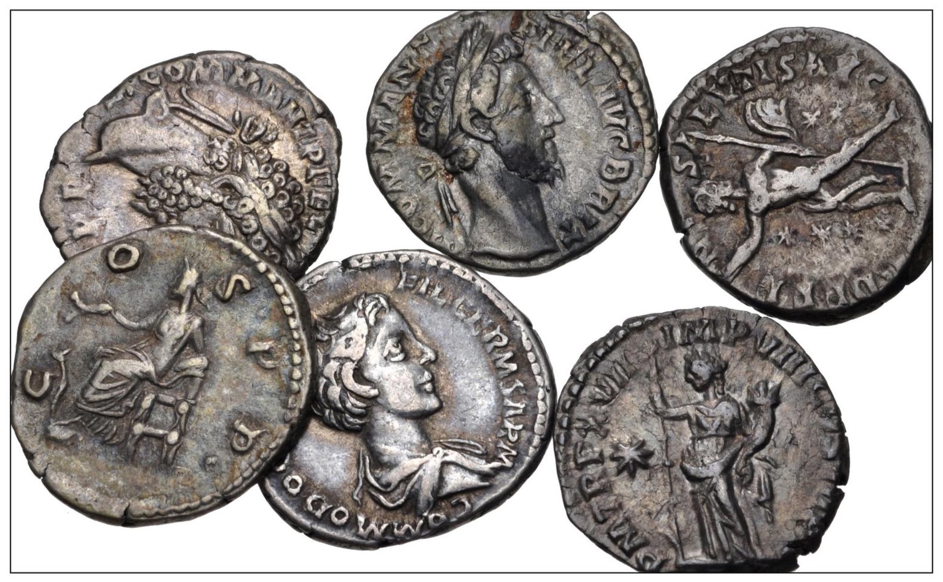 CNG auction I lost one and won 3 | Coin Talk