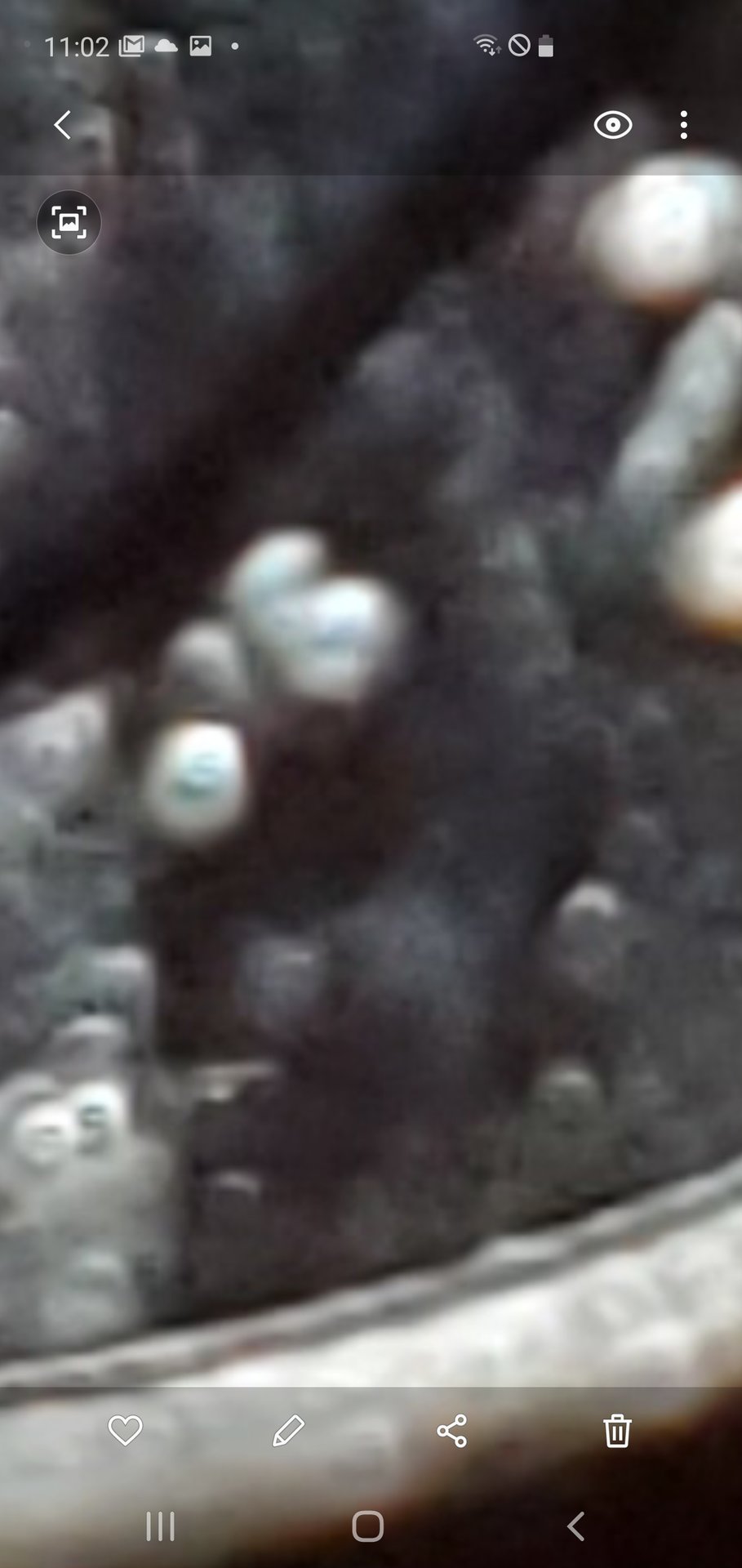 Screenshot.2 20200613-230241_Gallery.jpg