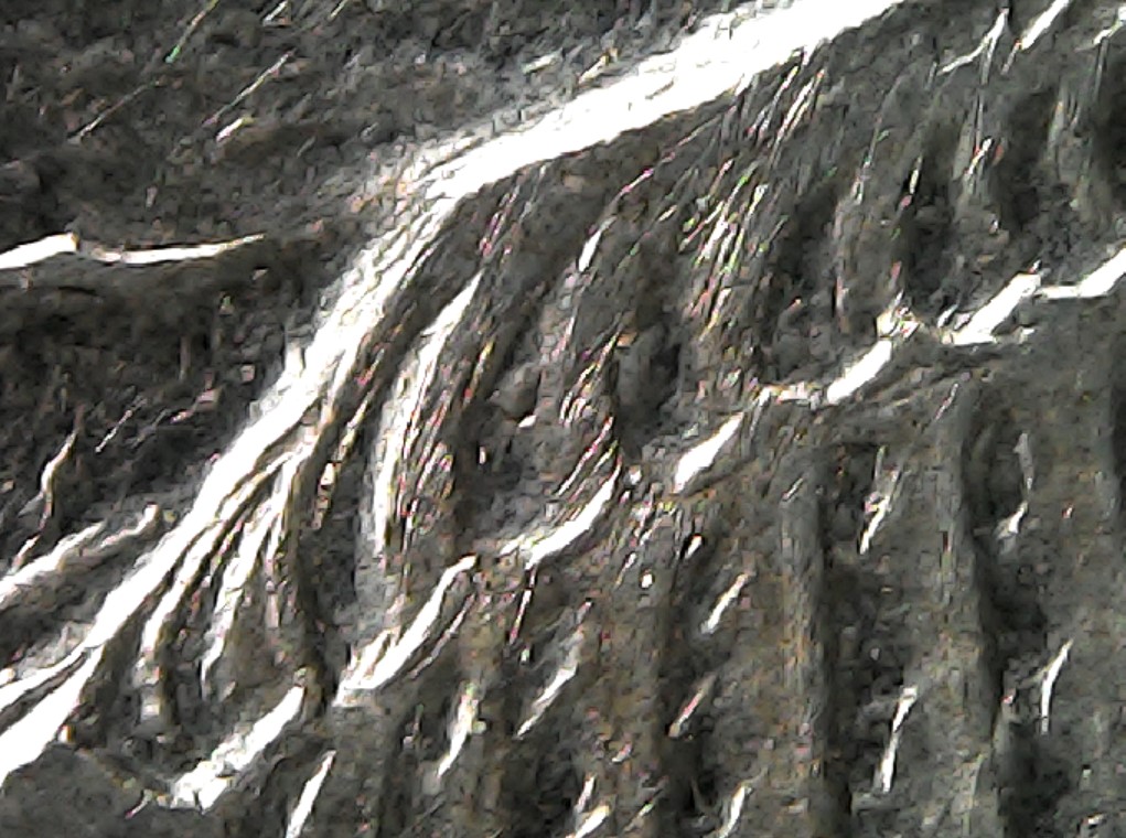 Screenshot 2020-09-21 012037.jpg