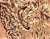 Screenshot 2021-01-03 112345.jpg