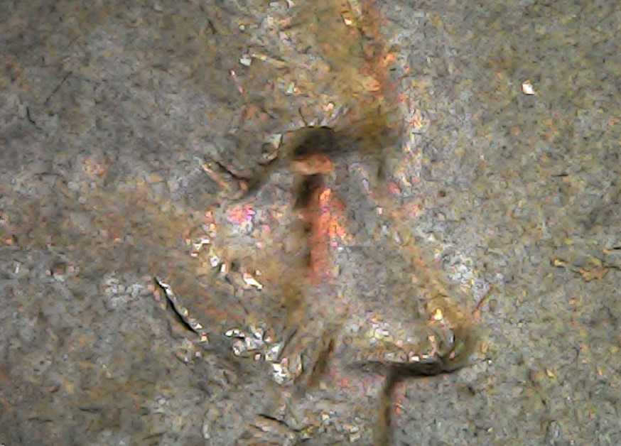 Screenshot 2021-02-28 203906.jpg