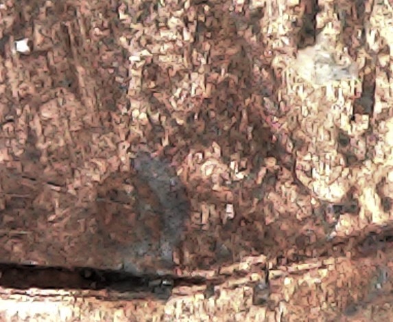 Screenshot 2021-03-29 193723.jpg