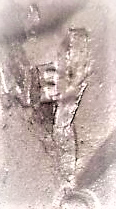 Screenshot 2021-06-18 at 07-58-50 Peace Dollar PMD or Vam .png