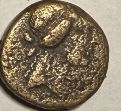 Screenshot 2025-12-10 191356.png