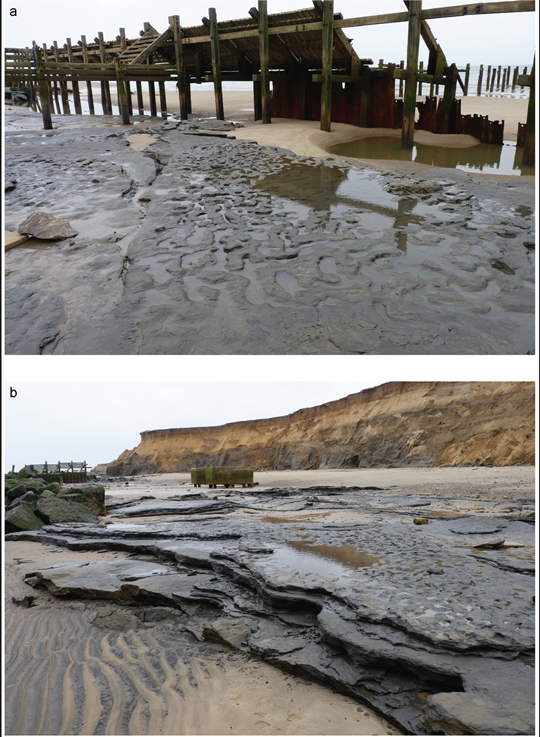 Screenshot 2026-02-10 214337.png