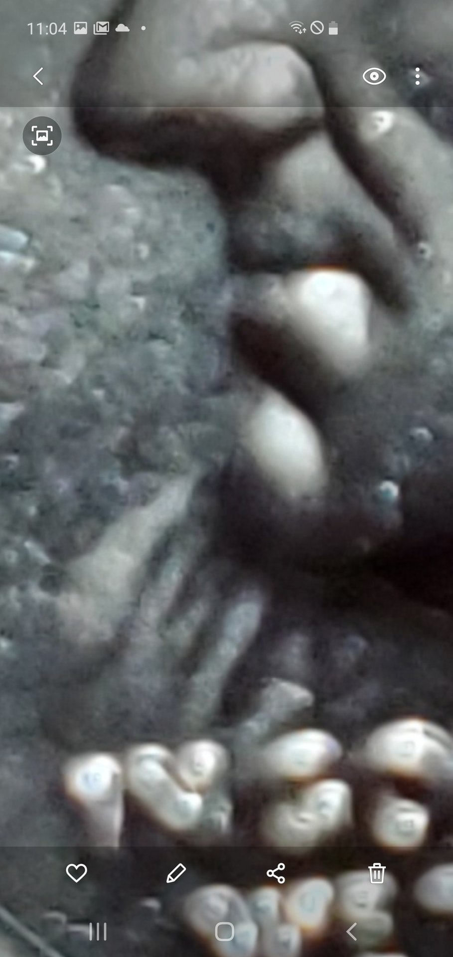 Screenshot.6 _20200613-230421_Gallery.jpg