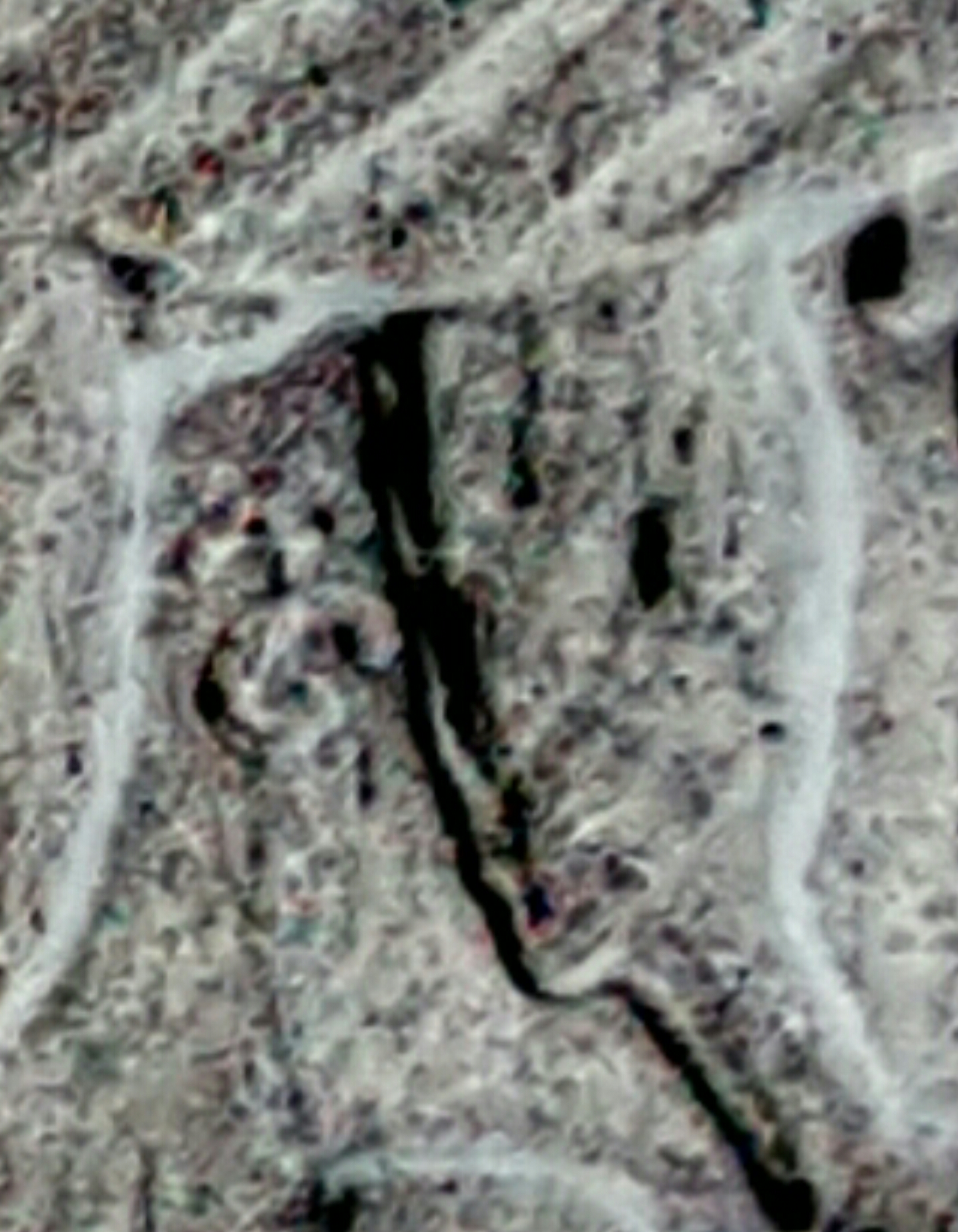 Screenshot_20170403-214359.jpg
