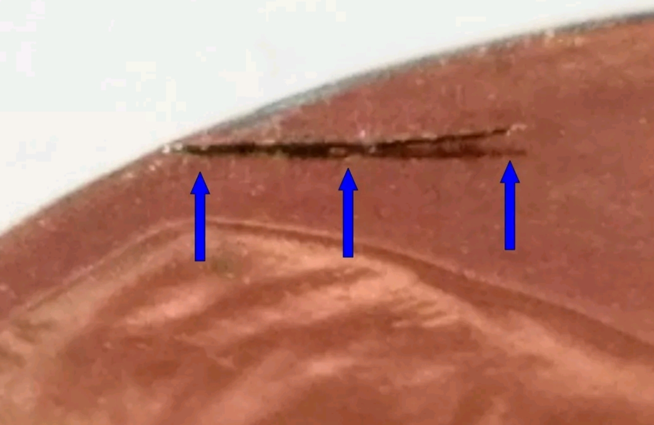 Screenshot_20170417-150000.jpg