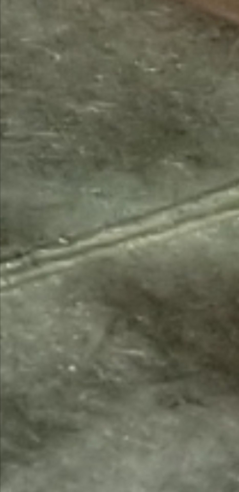 Screenshot_20180624-181342_Gallery.jpg