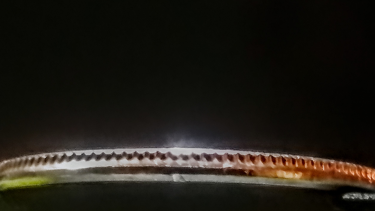 Screenshot_2019-08-31-22-58-01.png