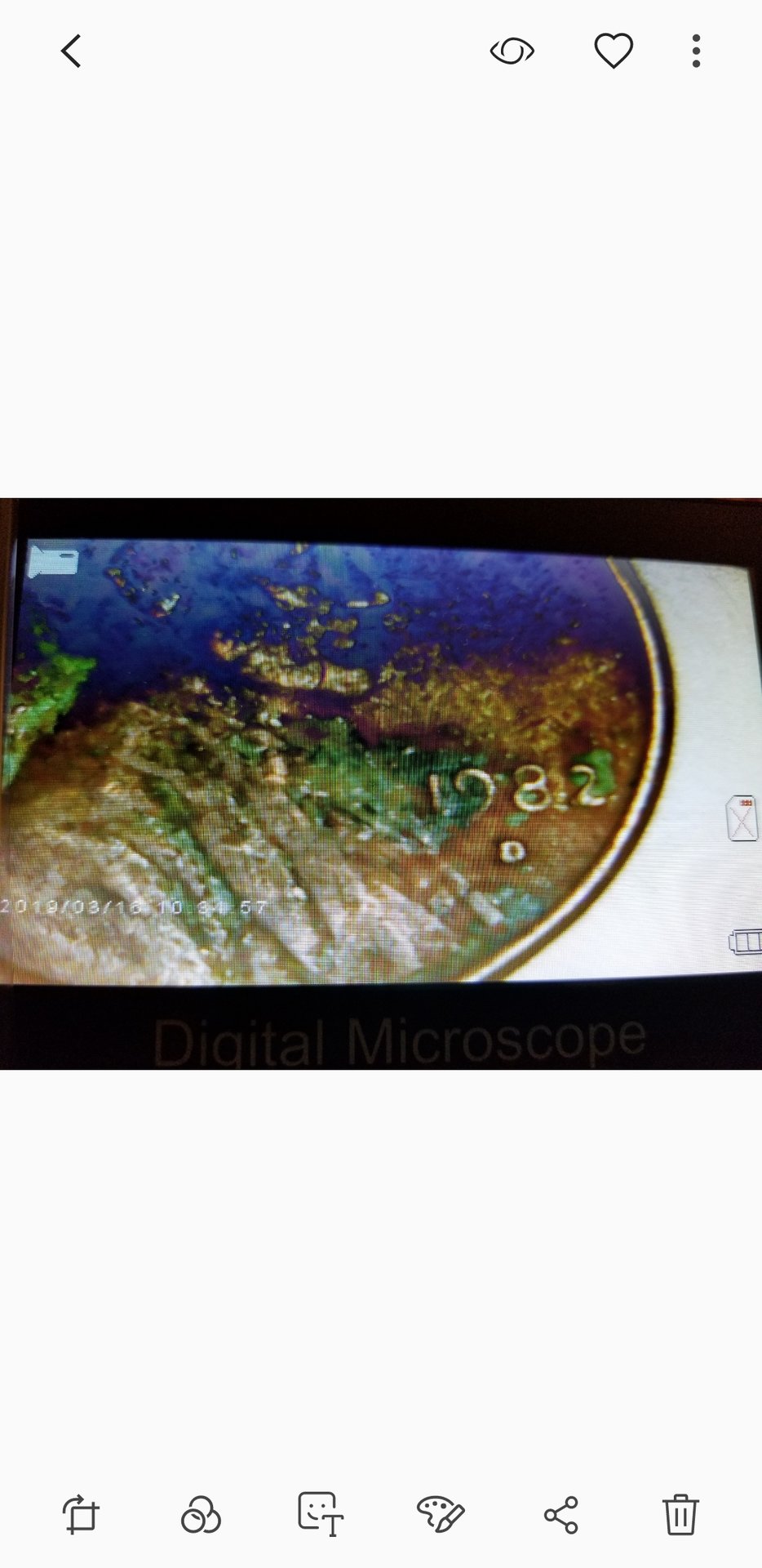 Screenshot_20190324-140433_Gallery.jpg