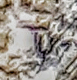 Screenshot_20190529-003147.png