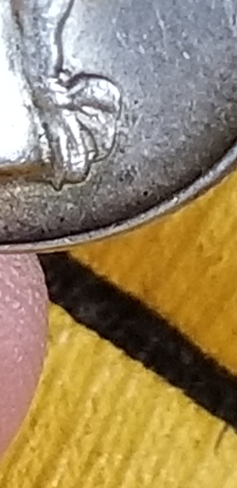 Screenshot_20190618-111023_Gallery.jpg