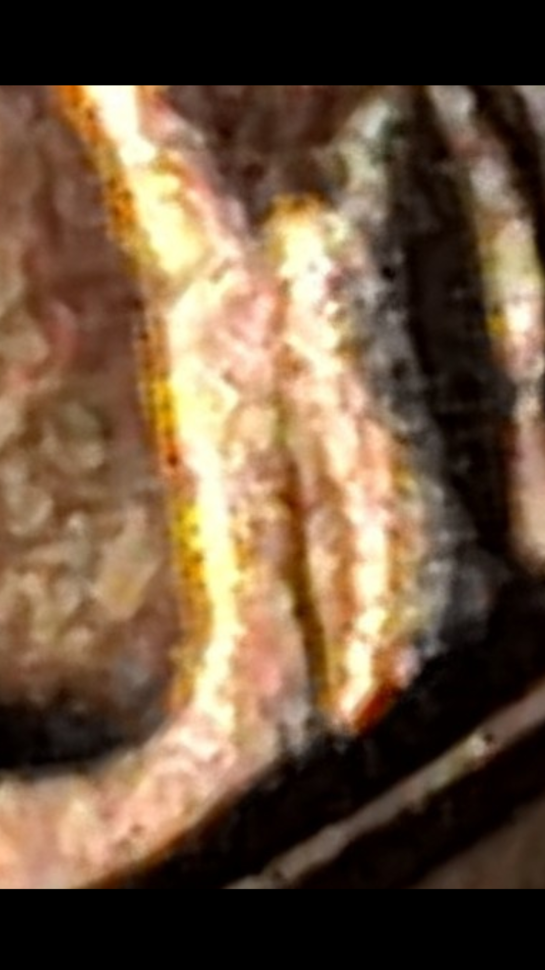 Screenshot_20190716-012059.png