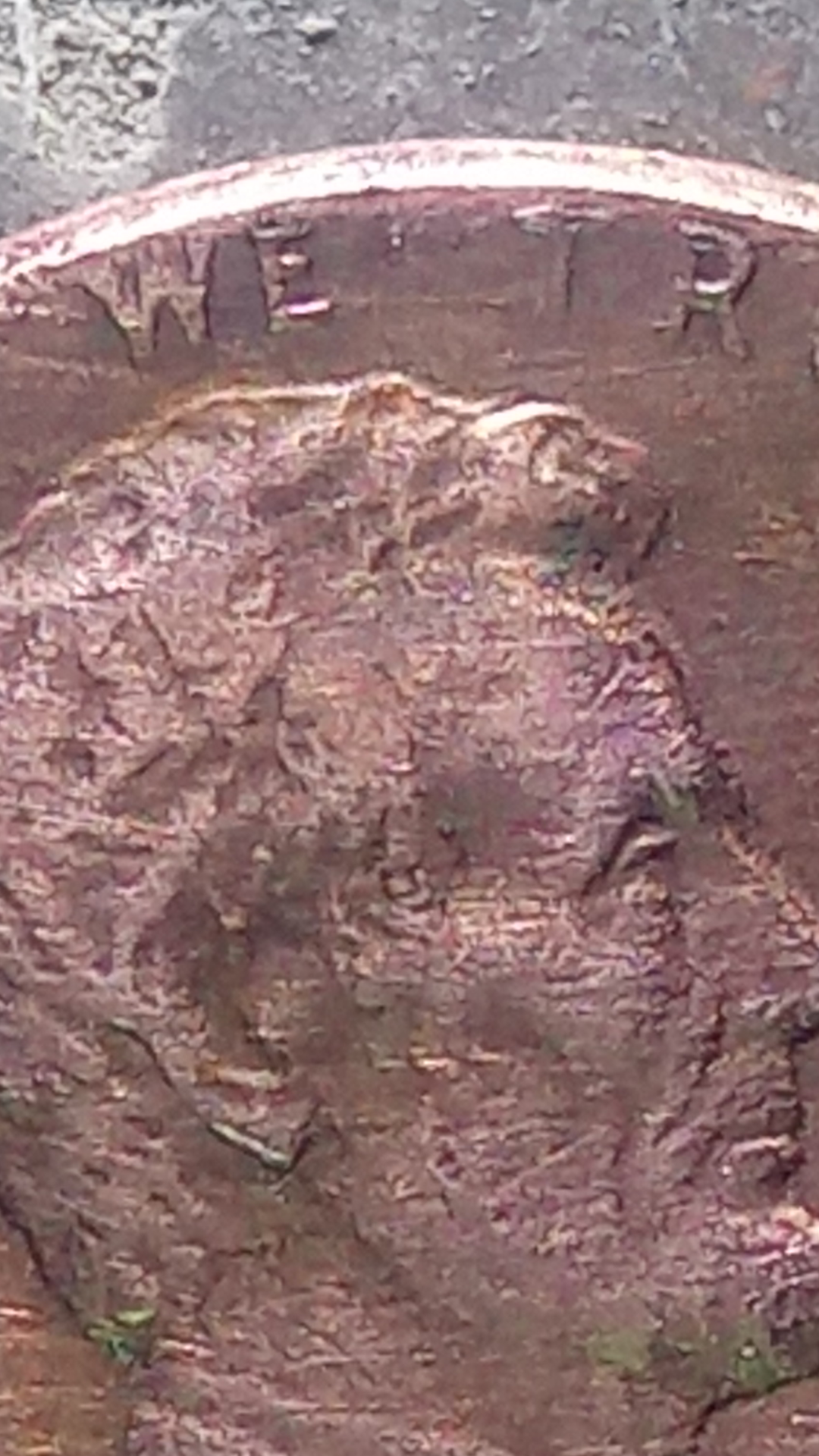 Screenshot_20200317-230354.png