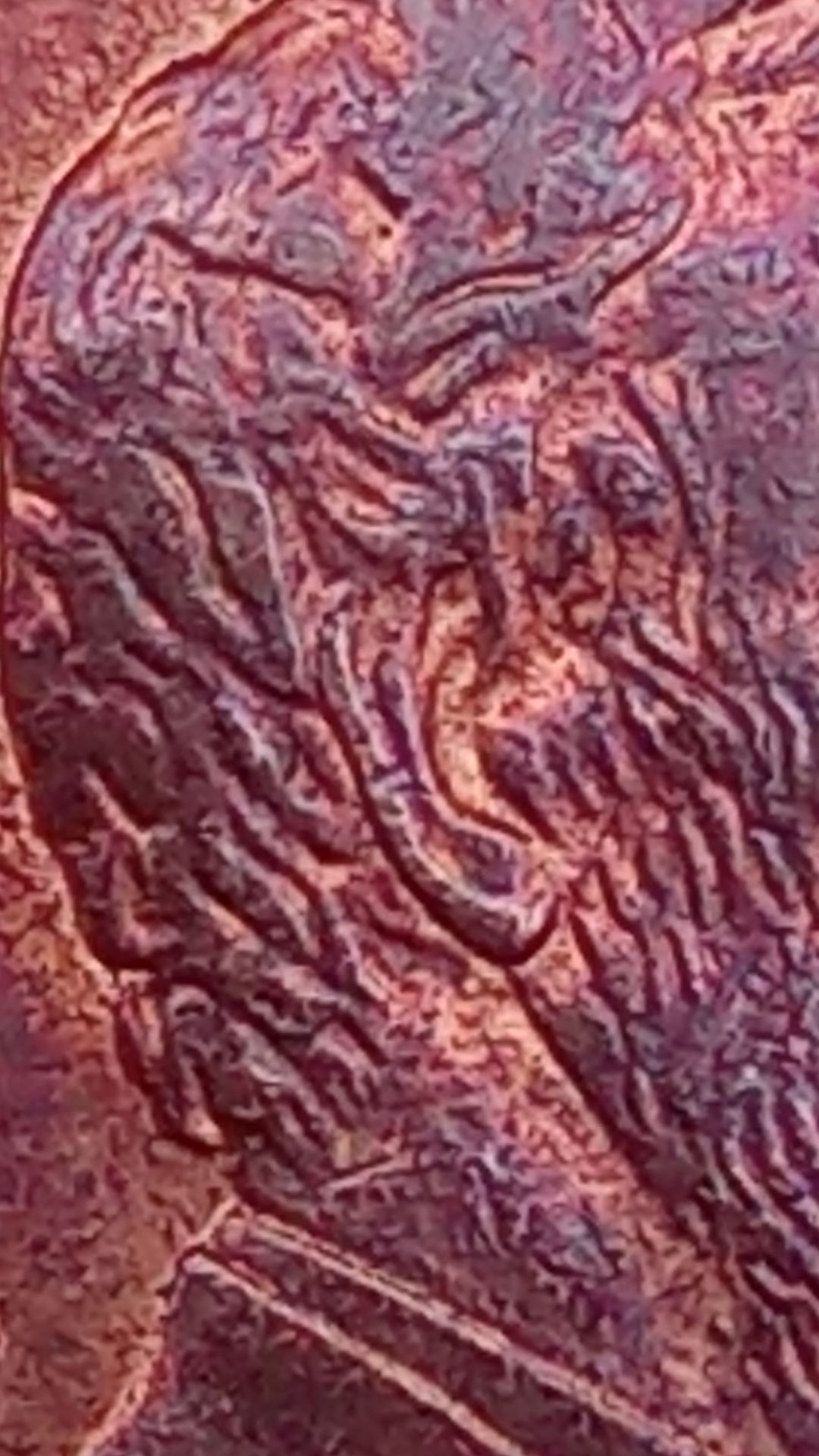 Screenshot_20200401-003356.png